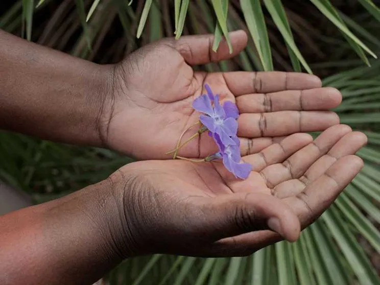 Due mani di una ragazza nera tengono dolcemente una violetta