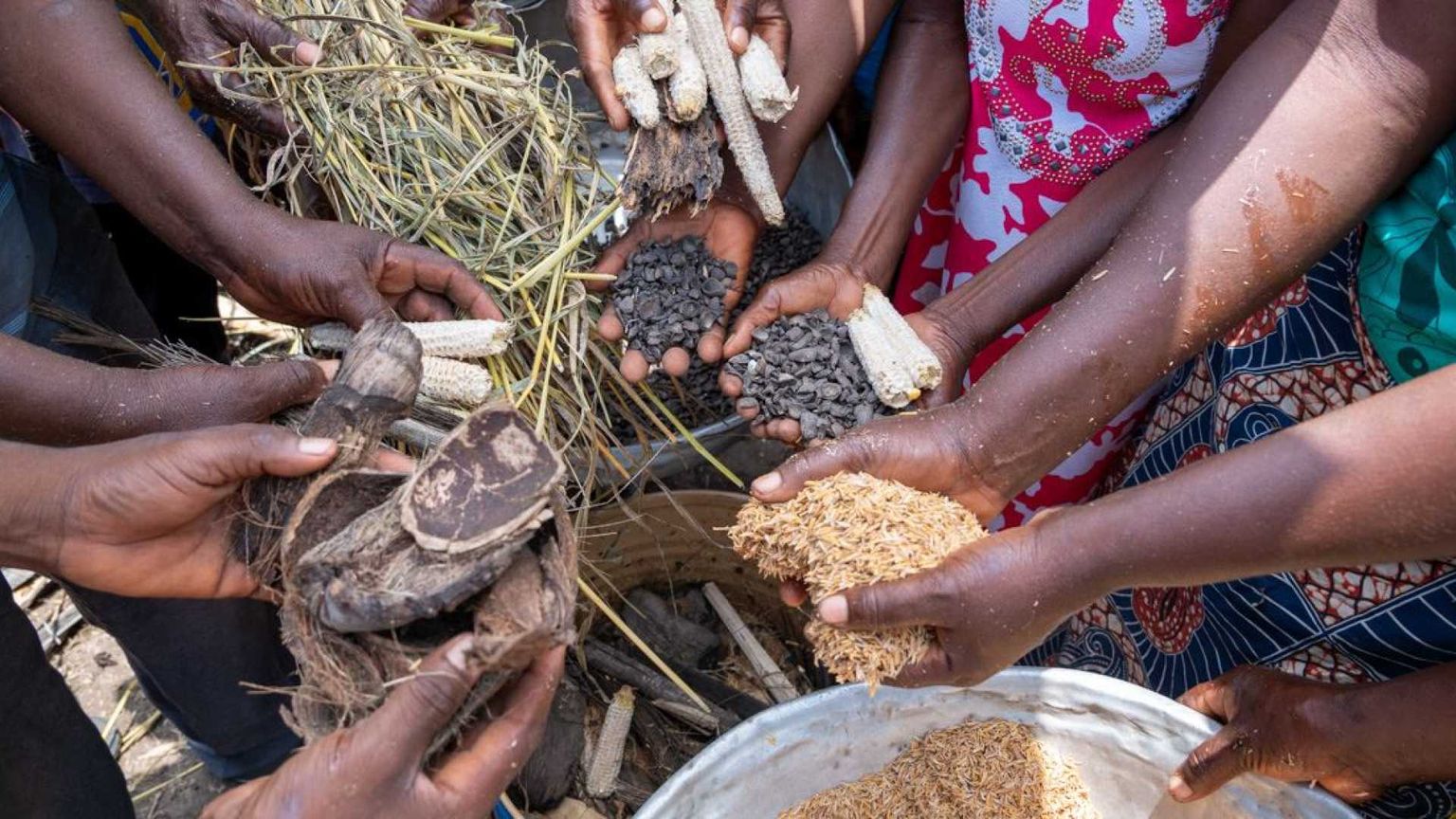 Banca Mondiale: «Ora un debito trasparente e più risorse»