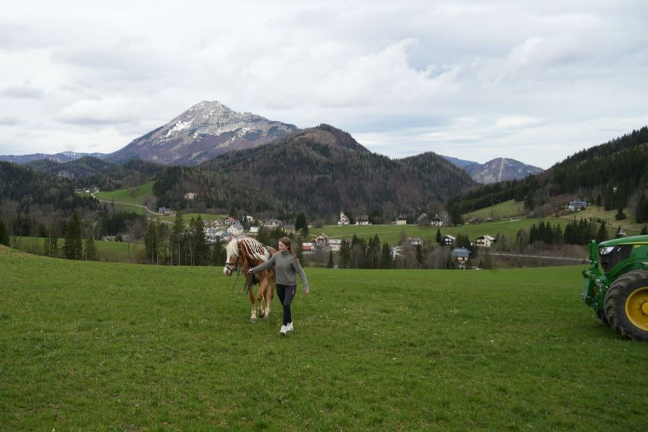 Lungo il Sacro Cammino da Annaberg a Mariazell