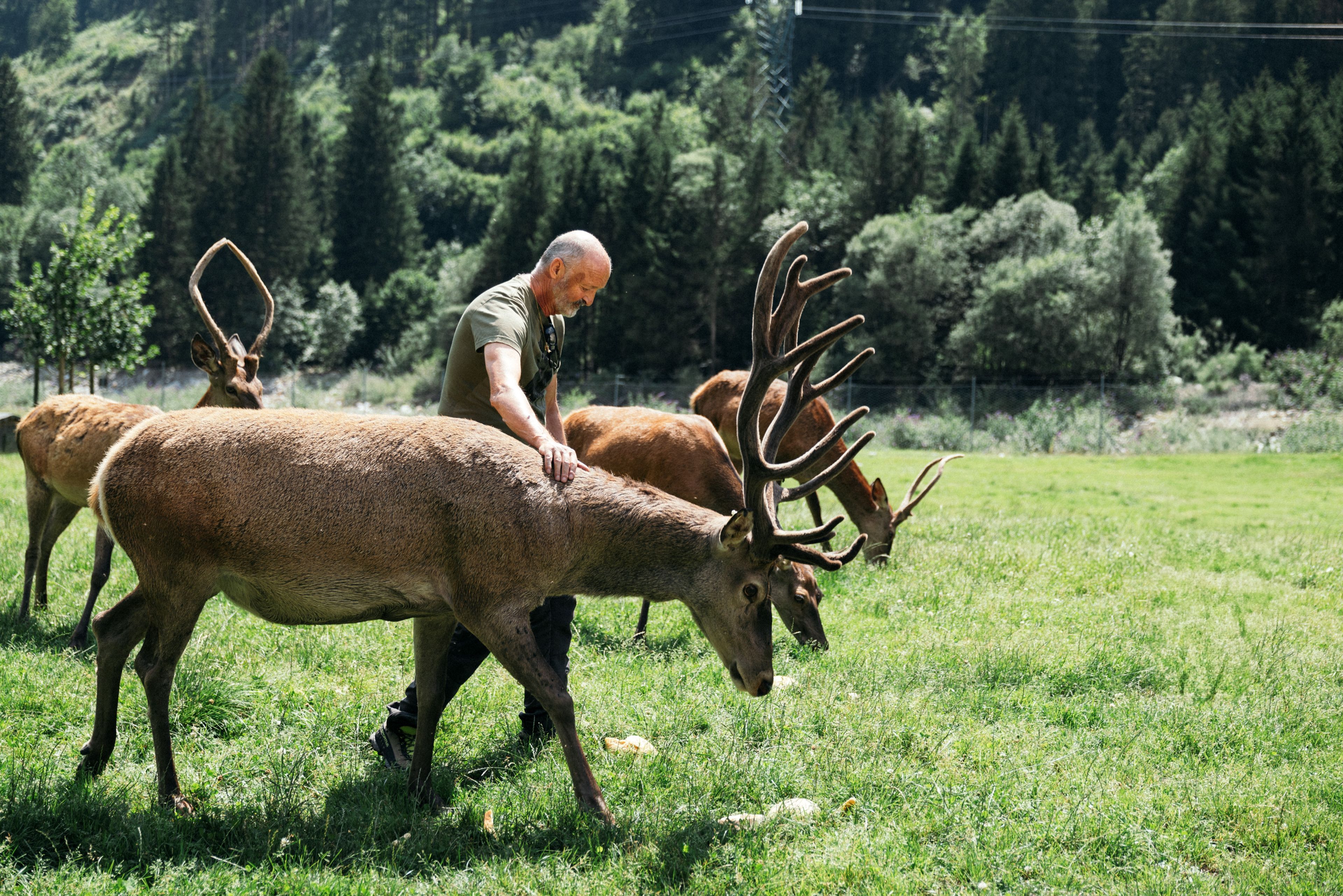 Uno scatto di Roselena Ramistella per "Trentino Unexpected" 