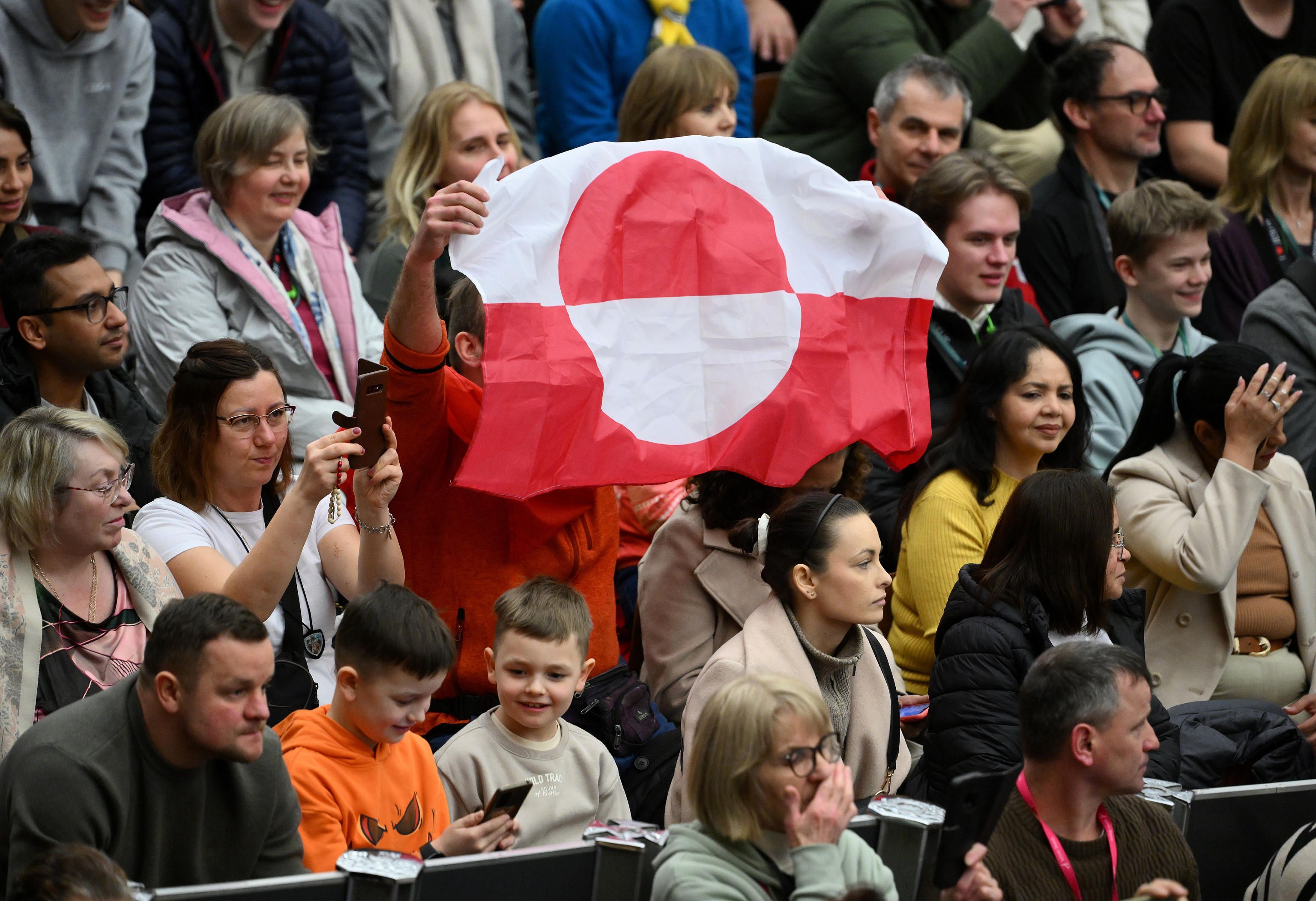 Alcuni fedeli sventolano la bandiera della Groenlandia in aula Paolo VI, durante l'udienza generale di oggi, 4 febbraio 2026 - (ANSA)