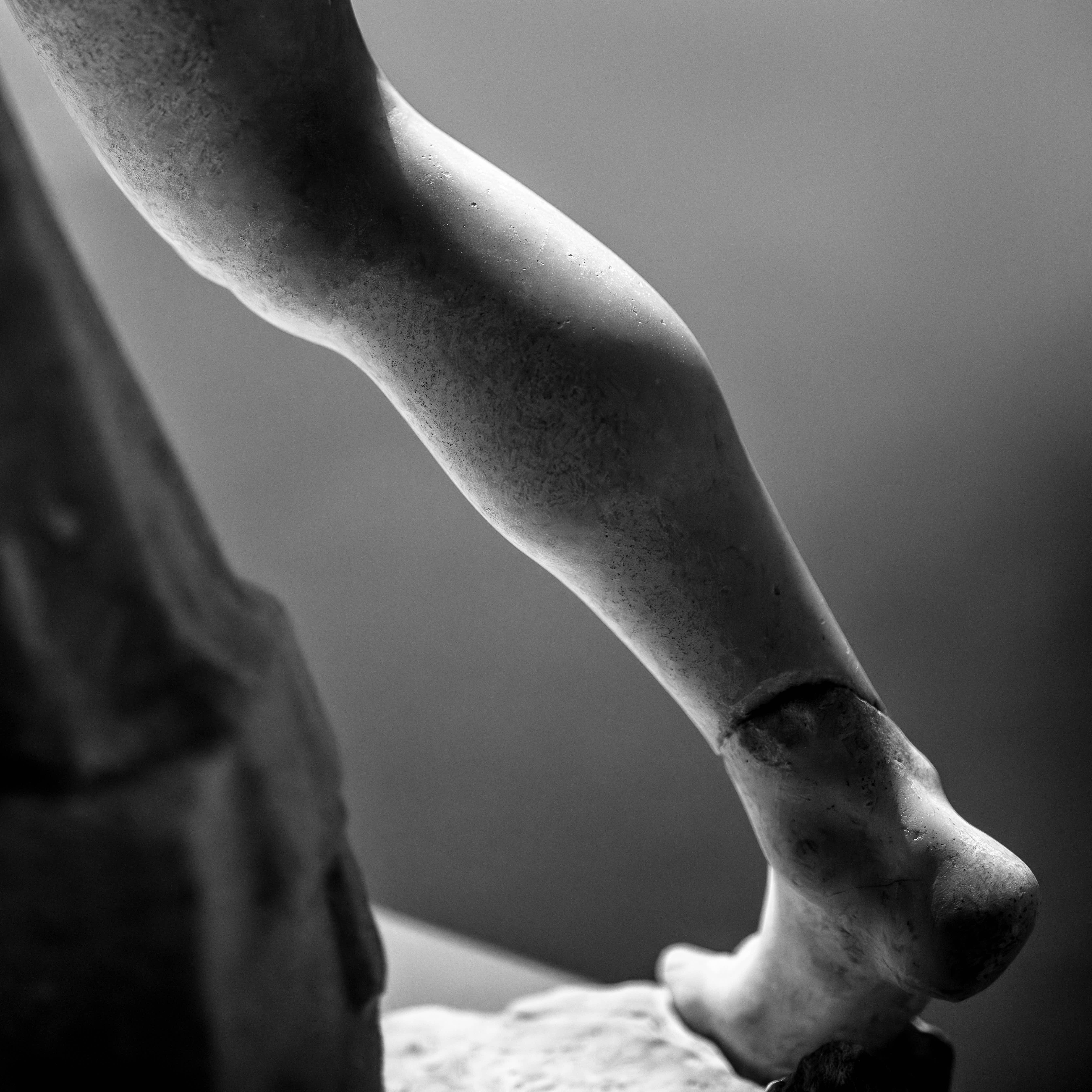 Χανίων, Archeological Museum, 2.8.2023, 12.09 / Stefano Cigada