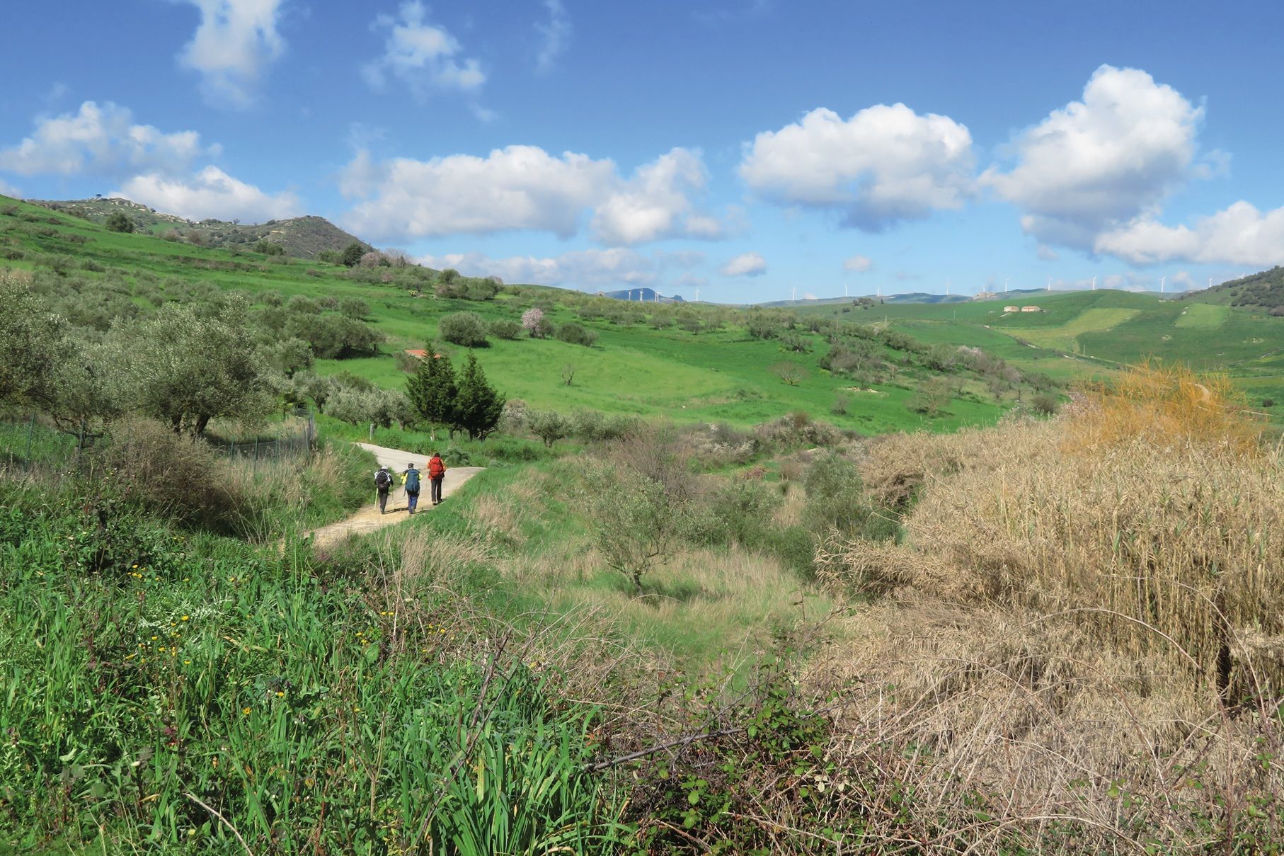 Nicosia, paesaggio rurale della Sicilia interna lungo il cammino di San Giacomo © Francesco Moro