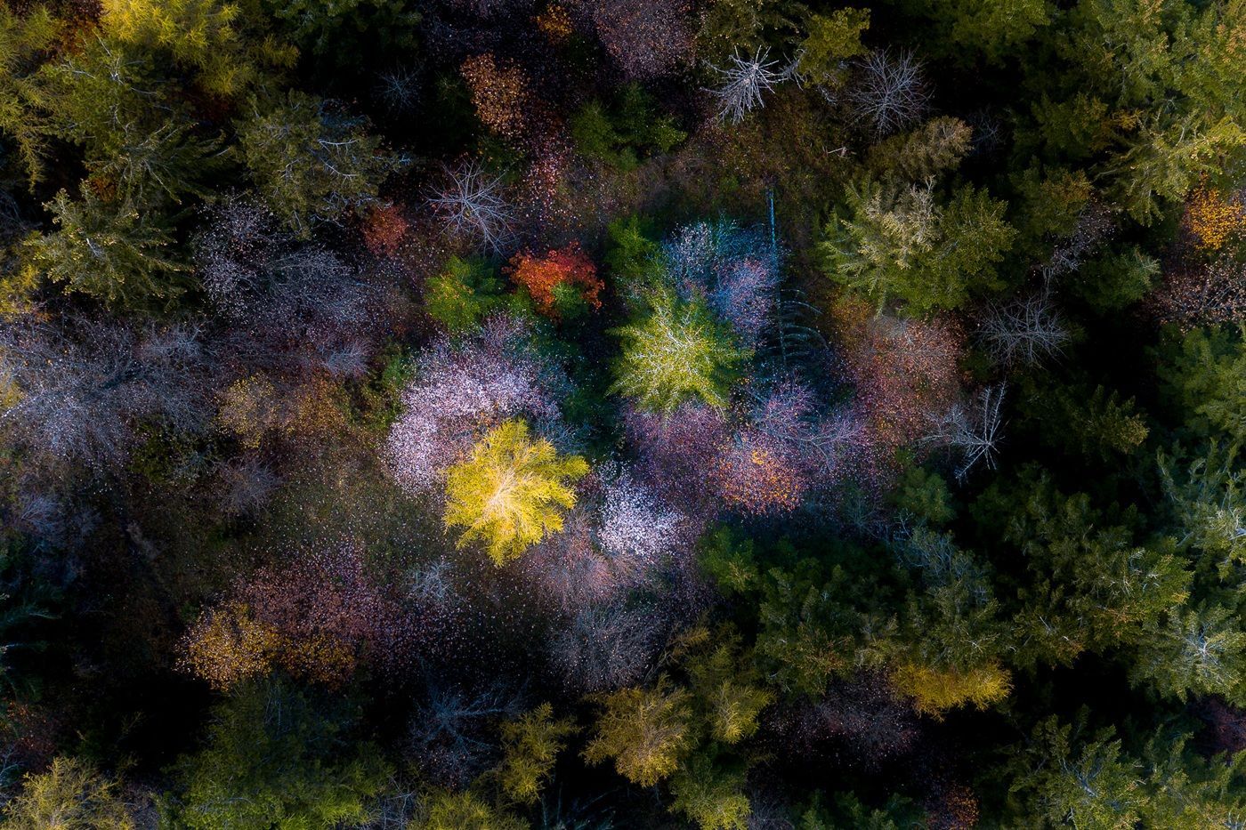"Nel segno della luce", la mostra al Forte Malatesta di Ascoli Piceno /Photonica3