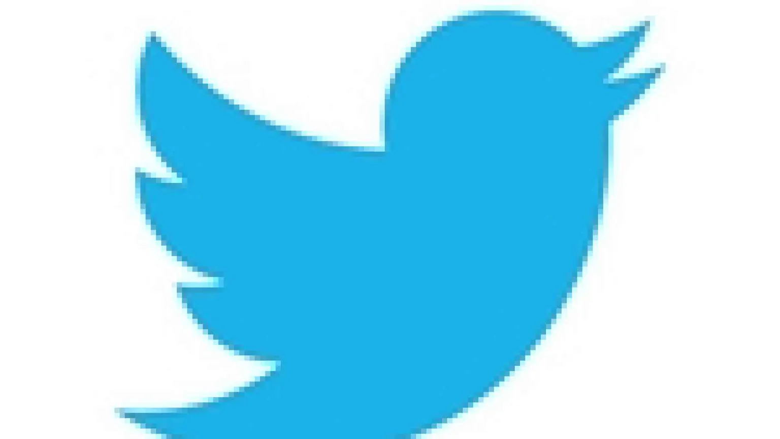 Arabia Saudita, 10 anni di carcere per un tweet