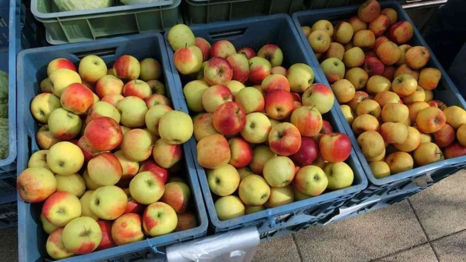 ZeroPerCento: la bottega solidale per disoccupati