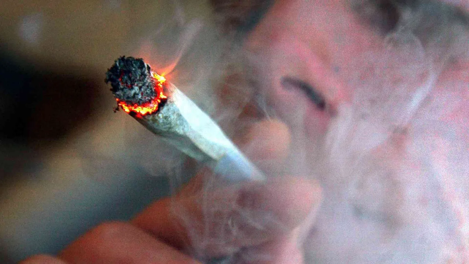 Sette motivi per dire "no" alla marijuana legalizzata