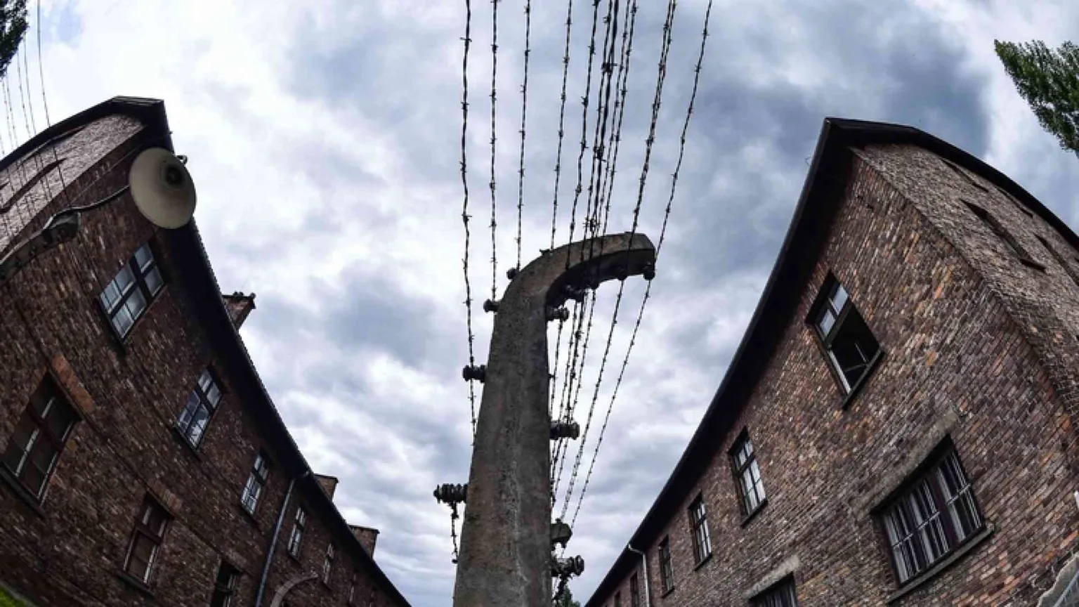 Il silenzio nella visita ad Auschwitz L'abbraccio a 11 sopravvissuti