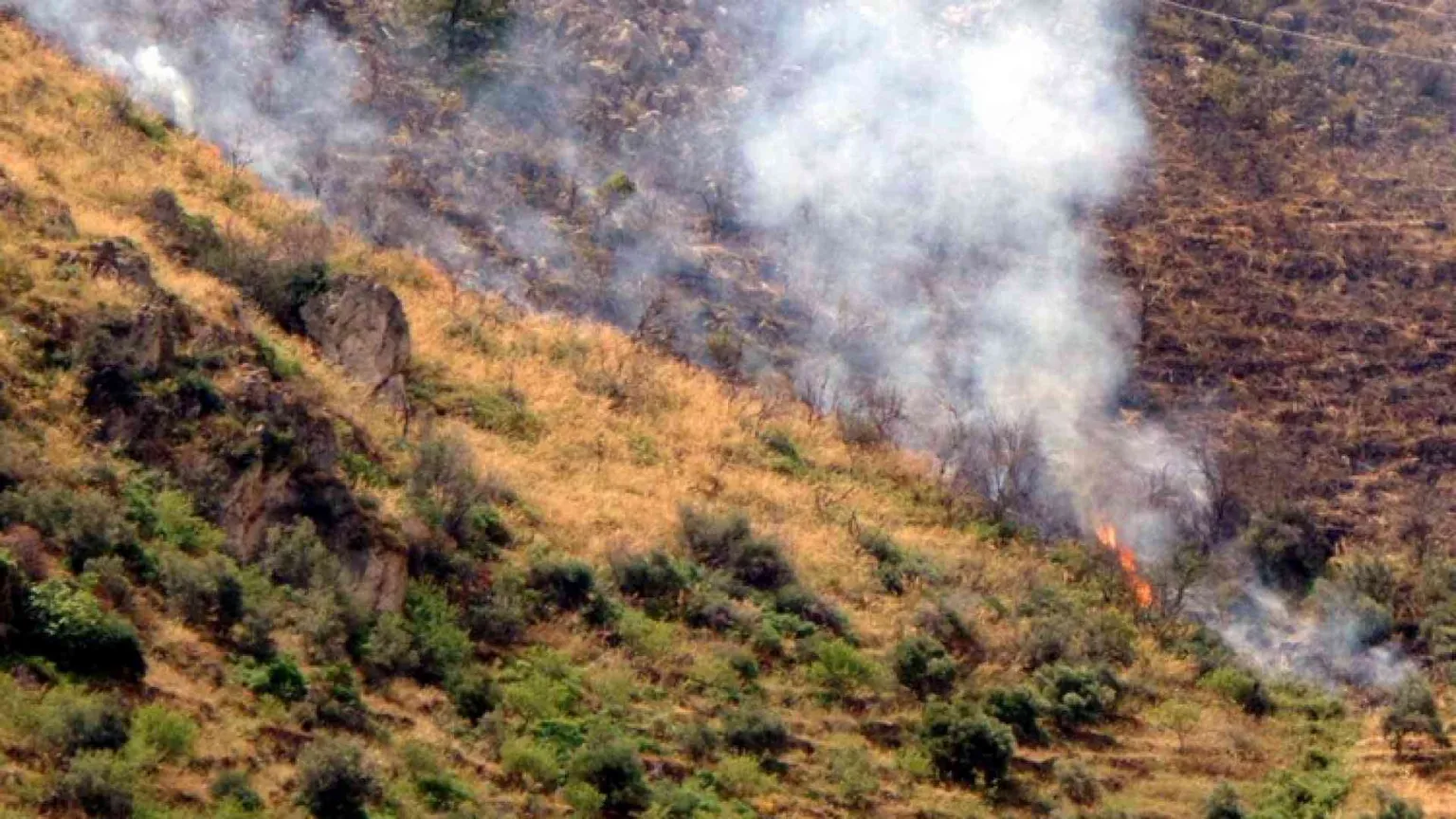 Roma, a fuoco la collina di Monte Mario