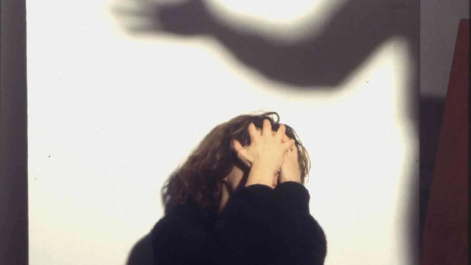 La Giornata contro la violenza sulle donne: a Seveso l'ultimo caso