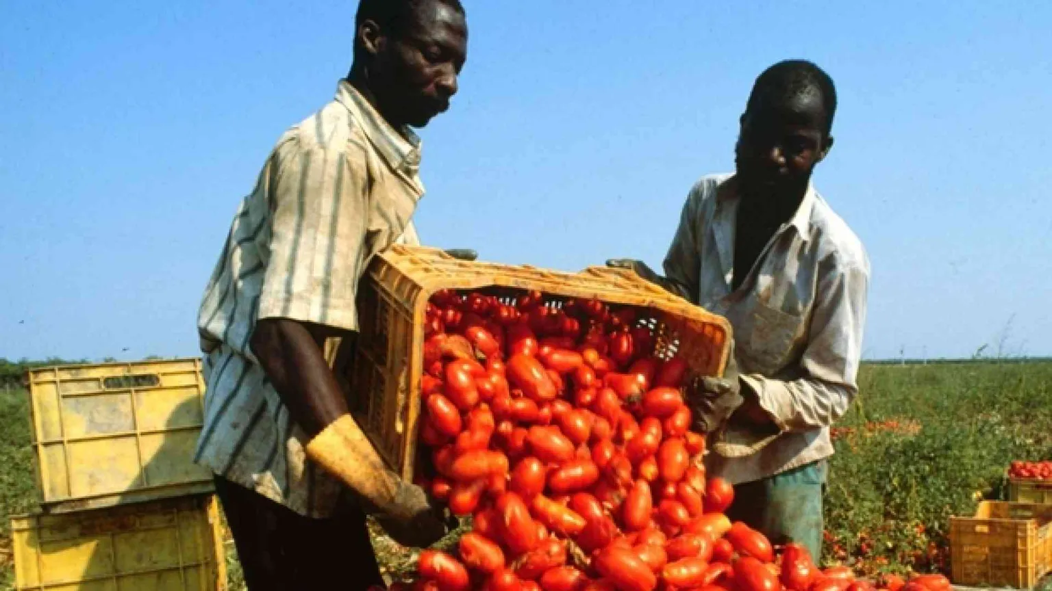 Permesso di soggiorno e lavoratori immigrati