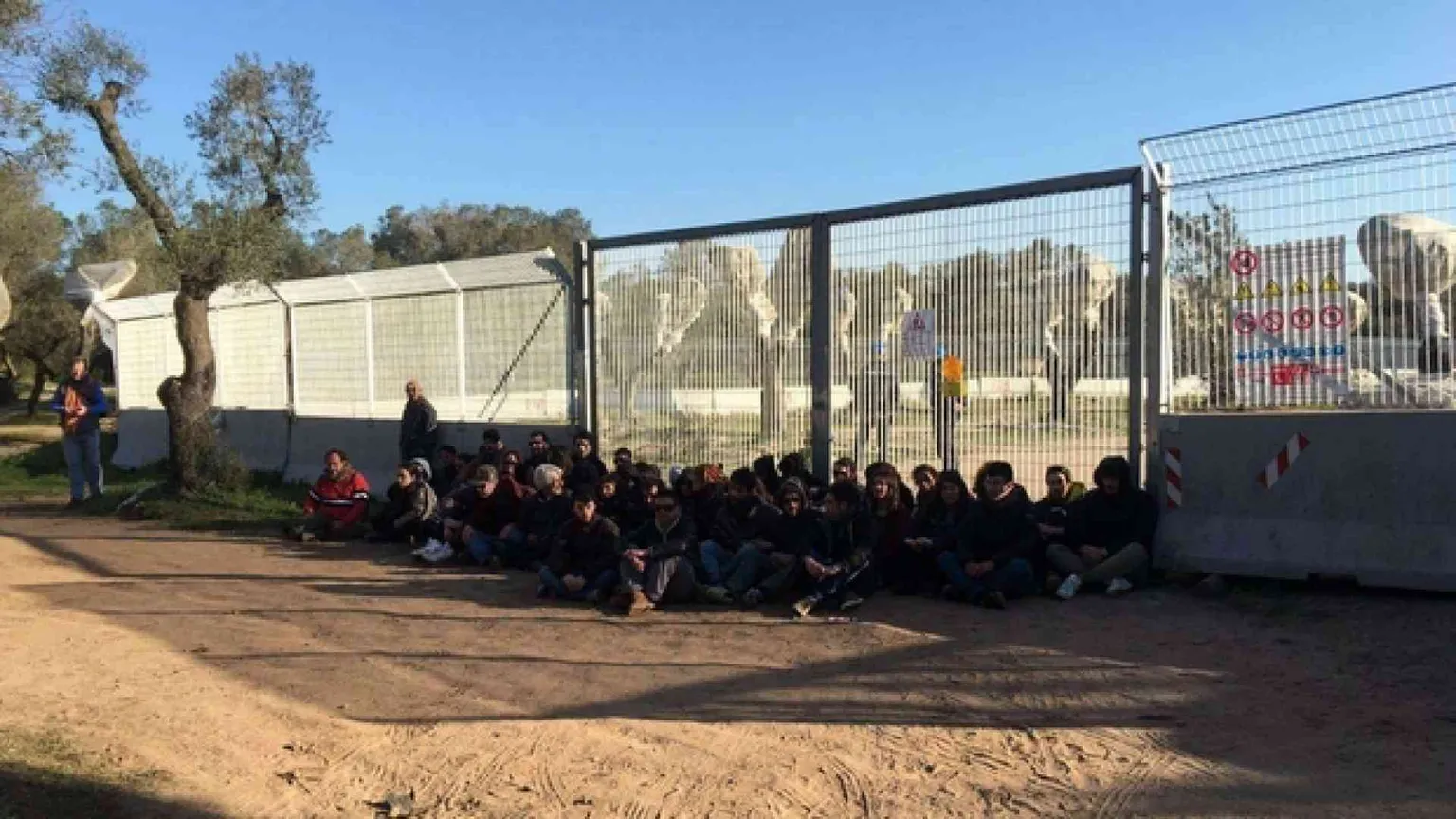 Ulivi espiantati, ancora scontri tra polizia e manifestanti