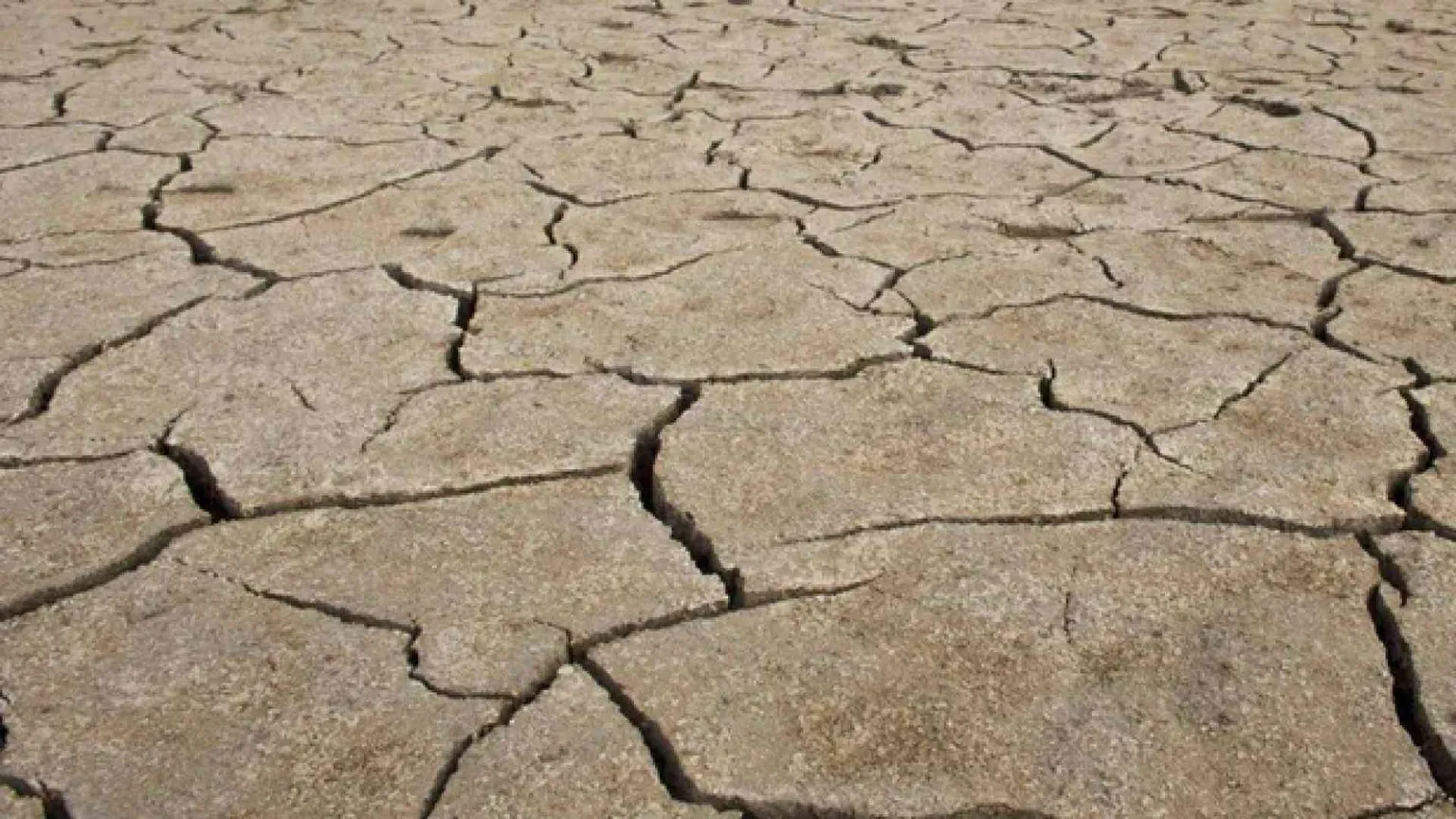 Crisi e profughi la contesa sull'acqua presenta il conto