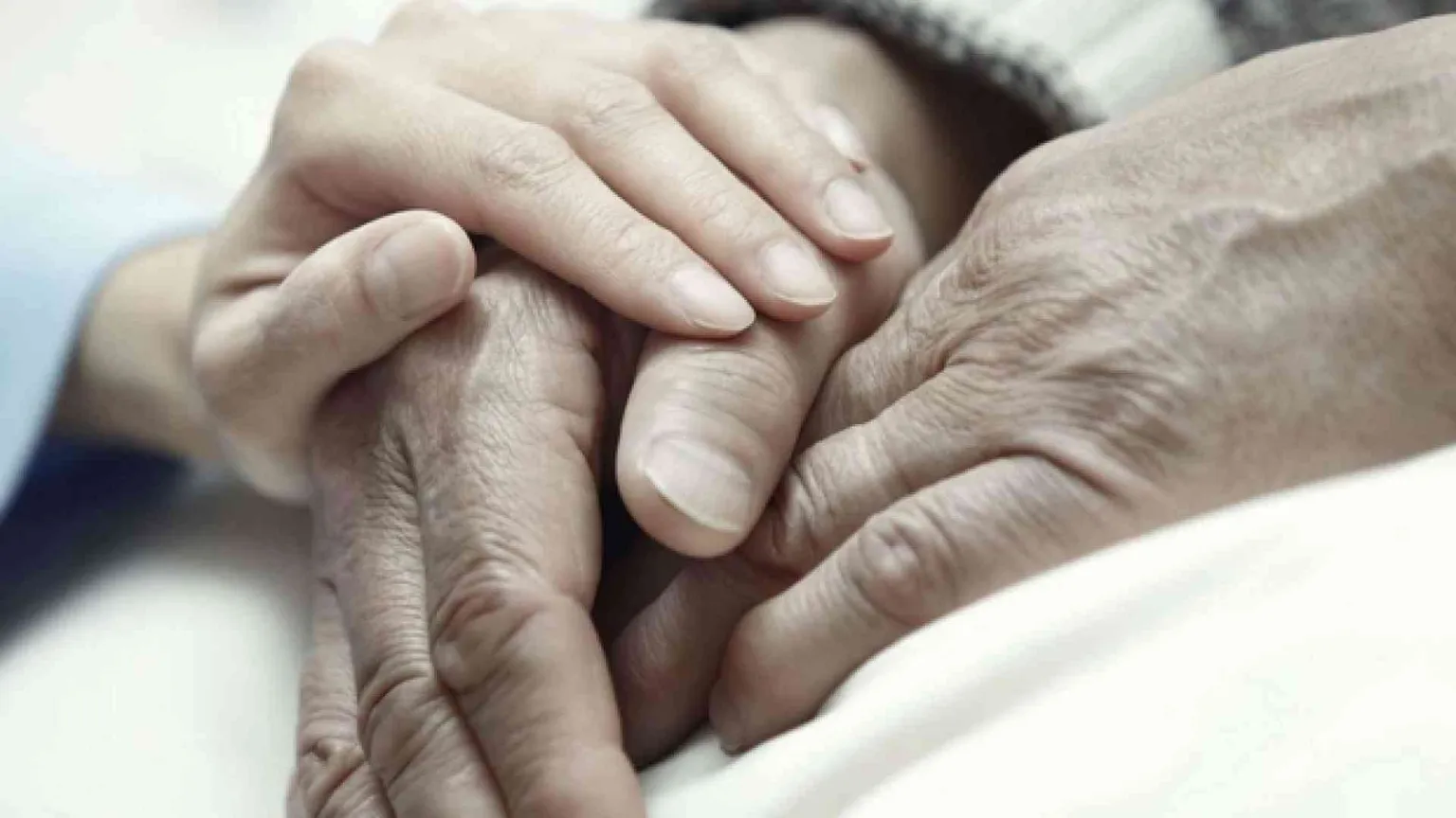«In Olanda si rispettano tutti i protocolli». Sì, ma di eutanasia ...
