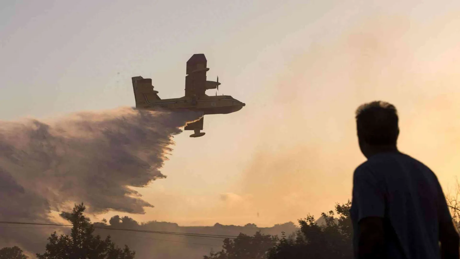 Incendi sul Vesuvio, «calamità criminale»