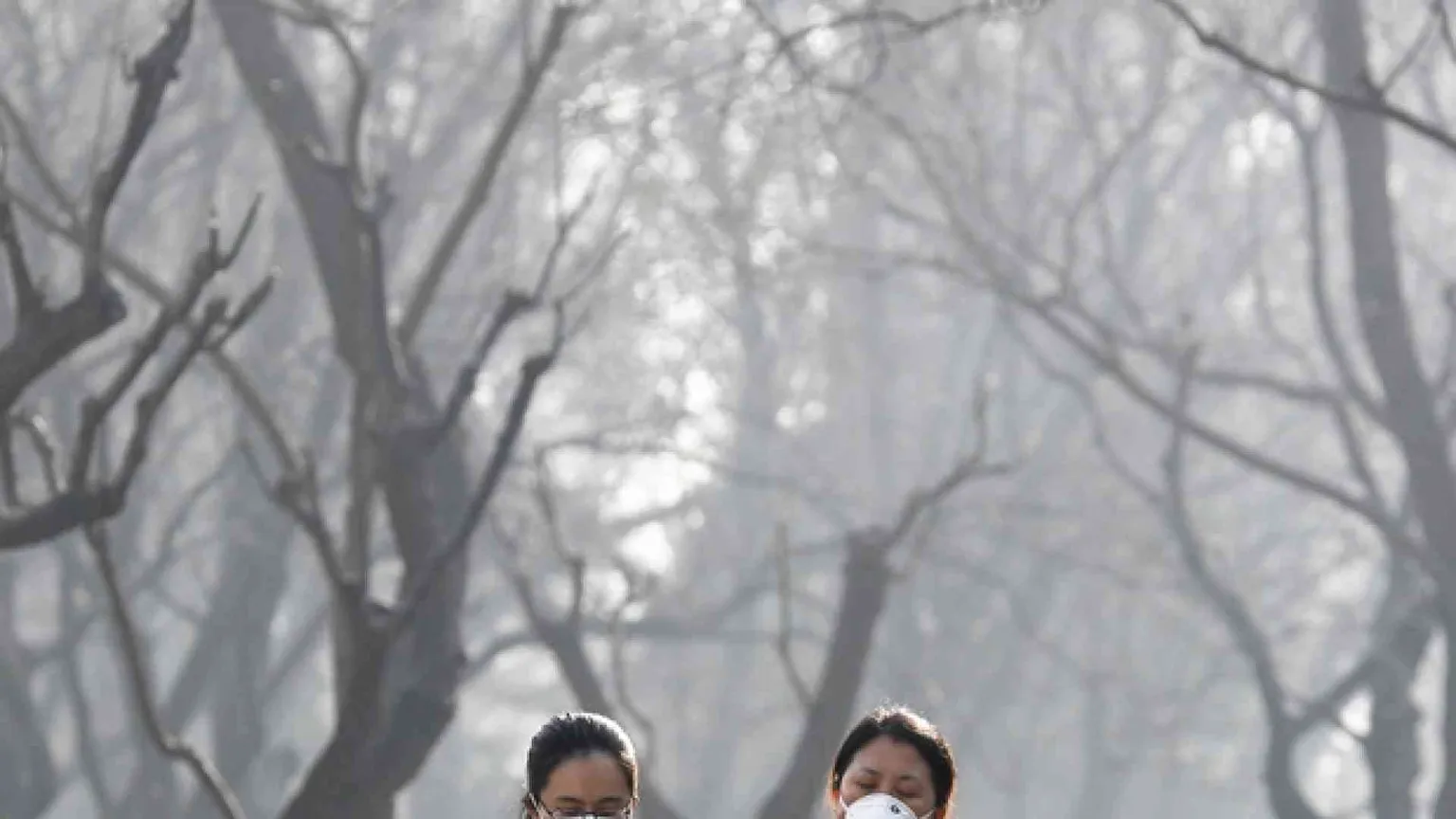 Energia e ambiente: la Cina protagonista delle nuove sfide