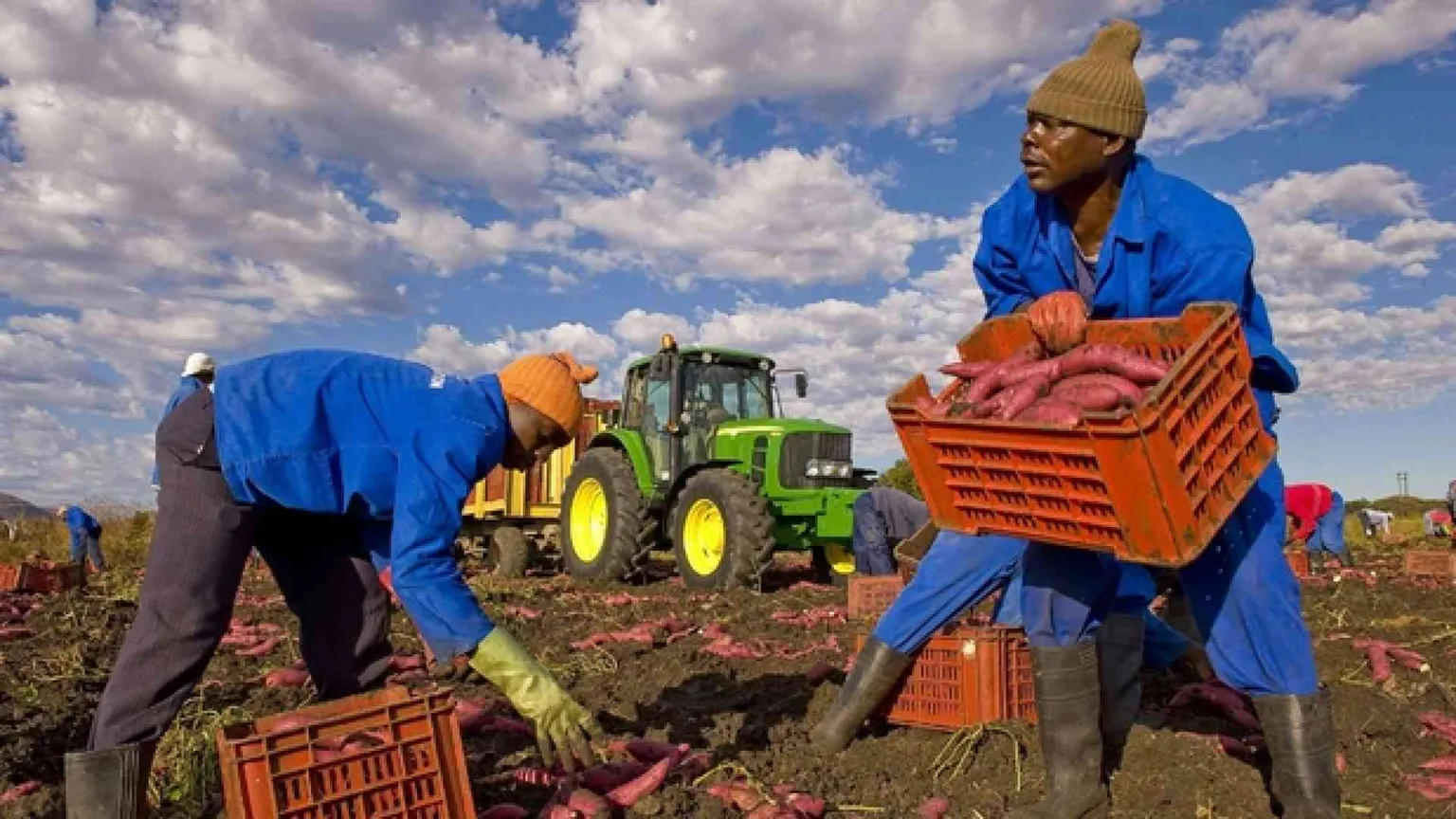 «Per gli immigrati non c'è lavoro» Ma economia e demografia dicono di sì