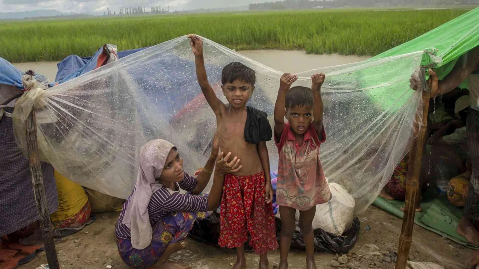 Amnesty denuncia: sui Rohingya crimini contro l'umanità