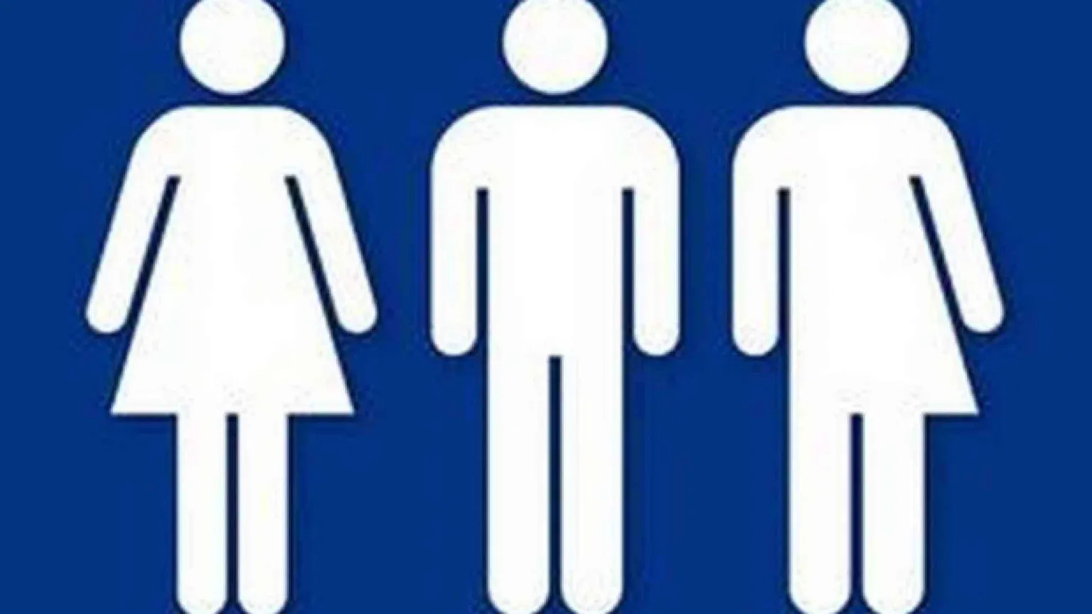 La Corte costituzionale tedesca chiede di riconoscere il «terzo sesso»