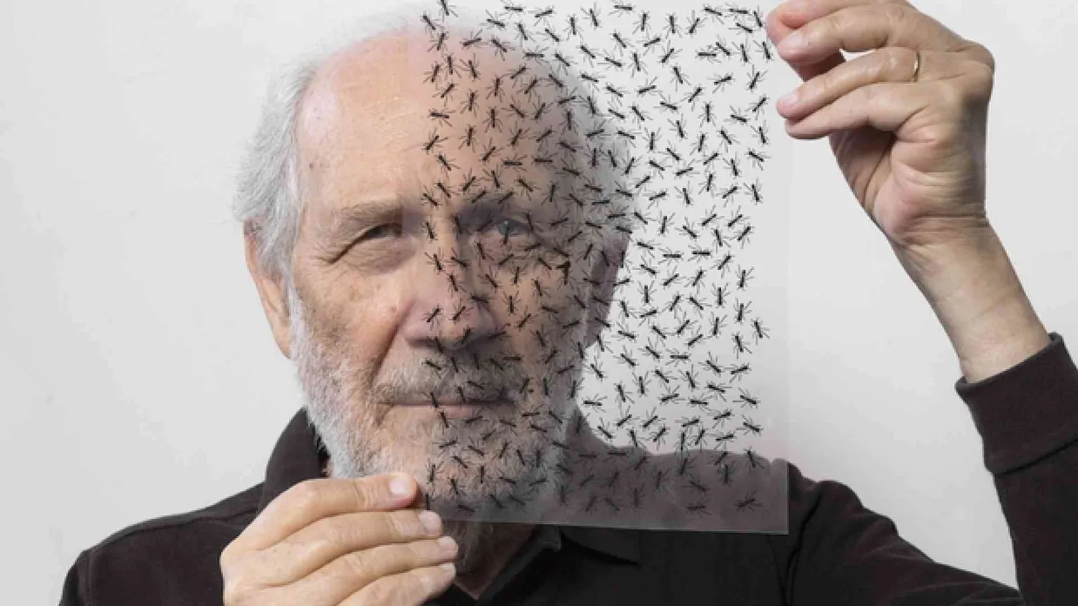Emilio Isgrò e l'arte di cancellare: «Ma non cancello Dio»
