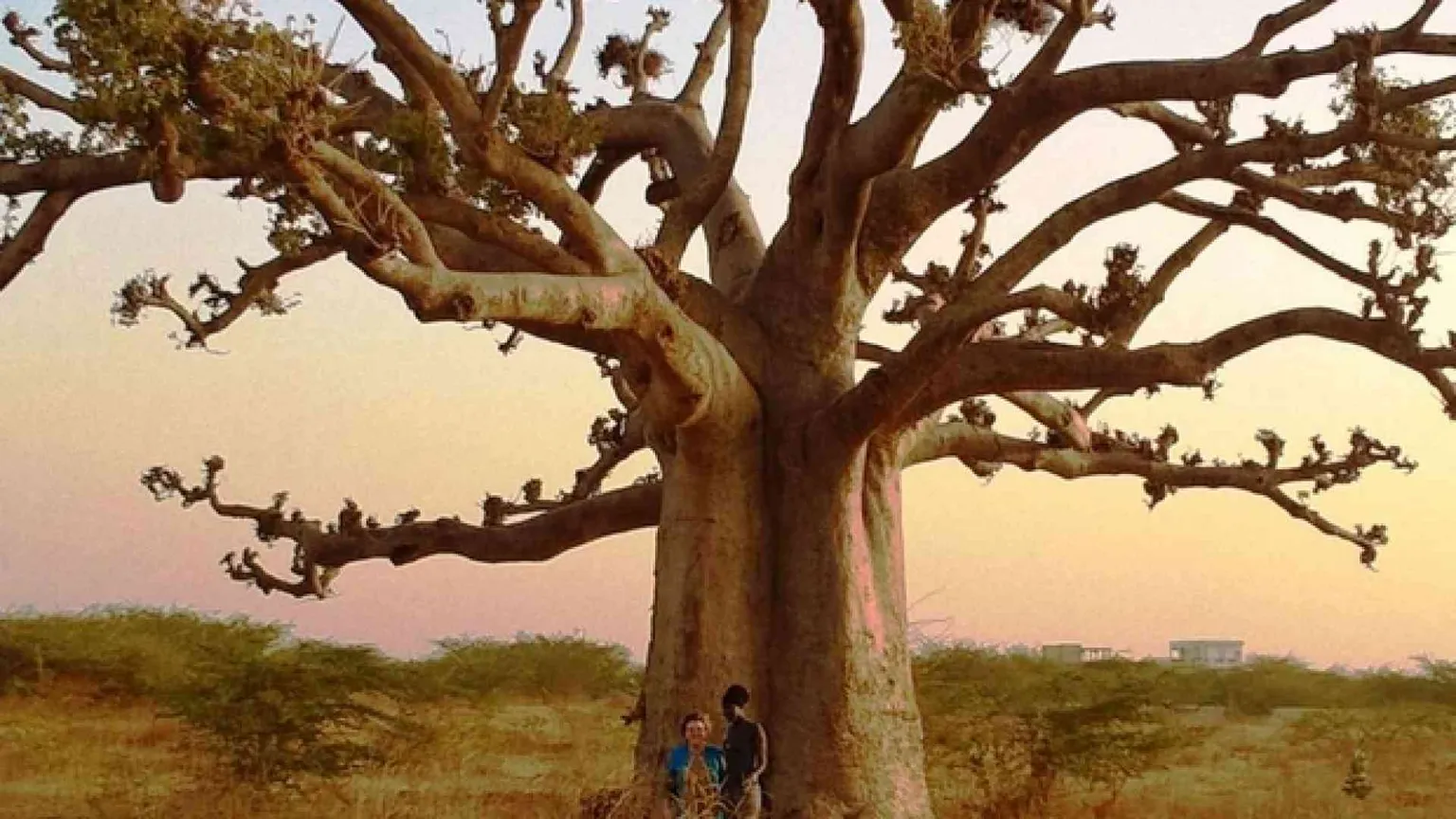 Senegal, viaggio nel paese africano dove dialogano islam e cristianesimo