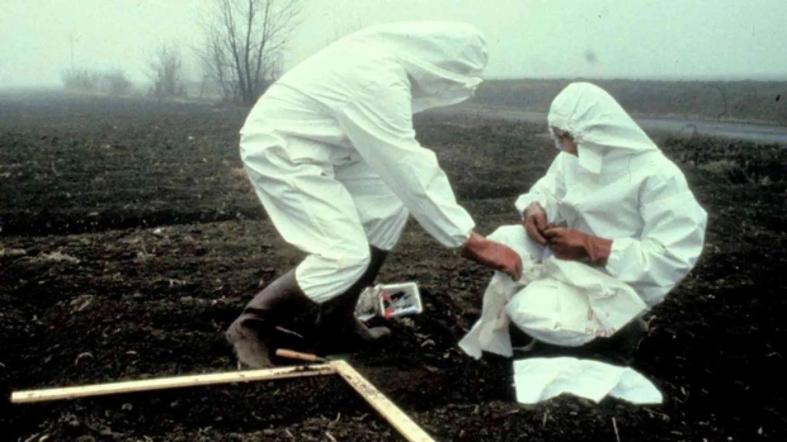 1976 - Diossina a Seveso, pressing per abortire
