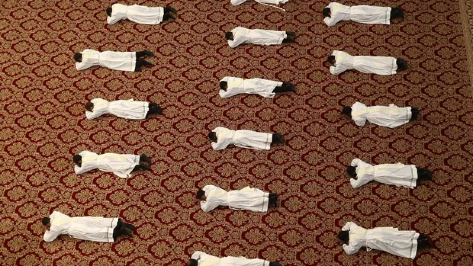 Spinti fuori da noi dalla parte delle pecore
