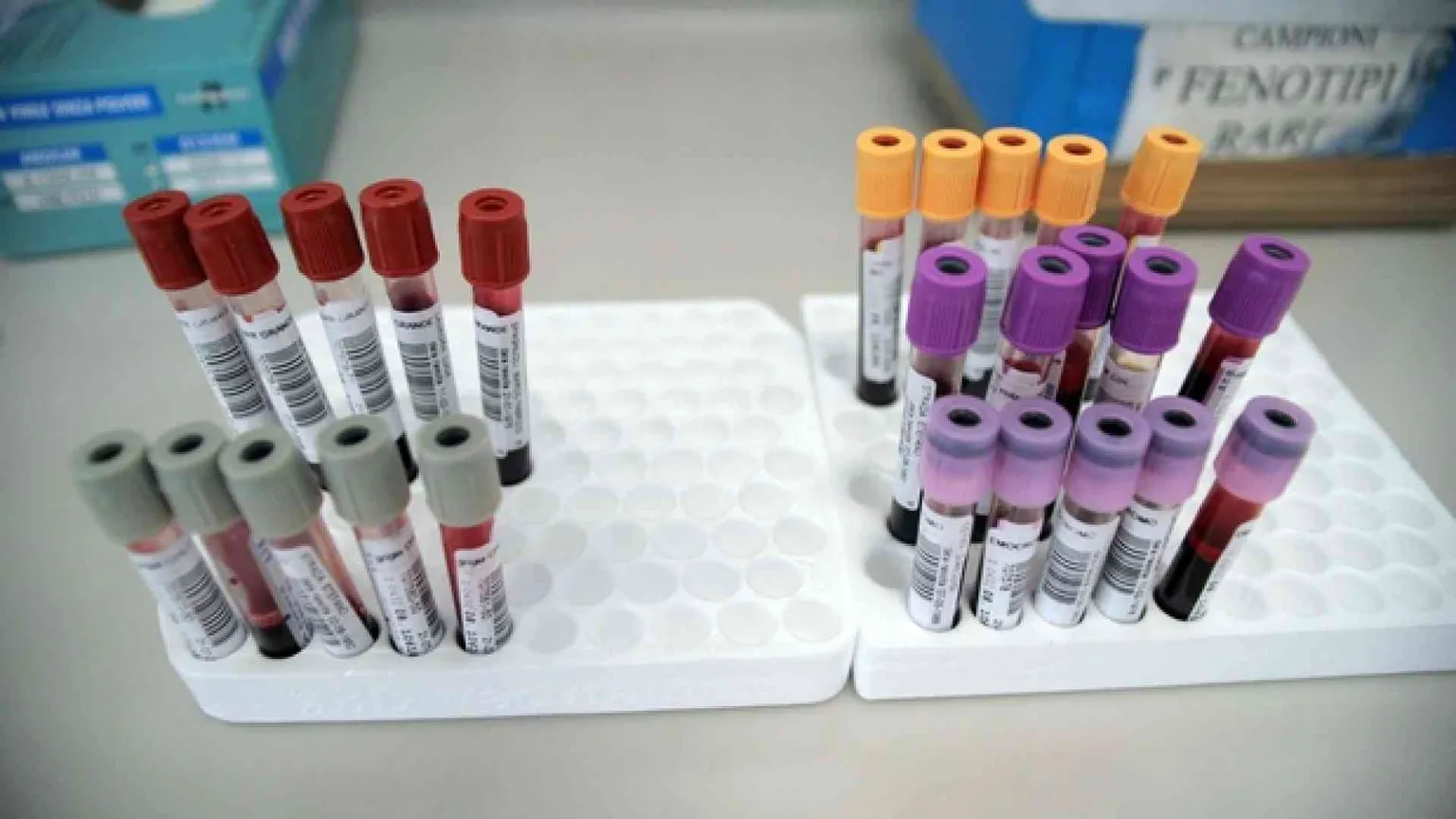 Musulmani in coda per donare sangue