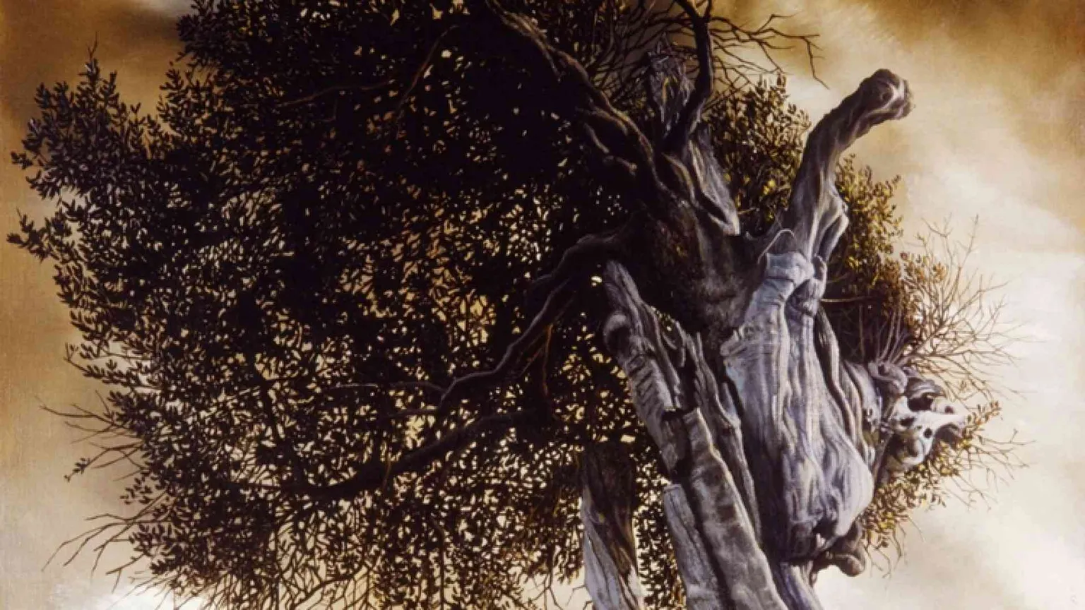 L'elogio degli alberi