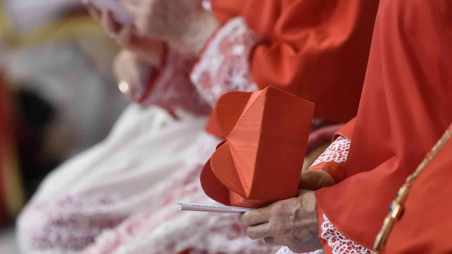 Il Papa crea 14 cardinali: i volti e le storie