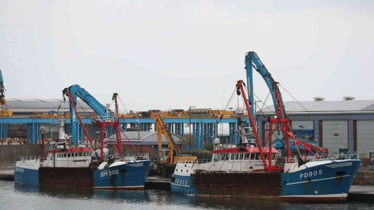Nella Manica è «guerra delle capesante» tra pescatori francesi e inglesi