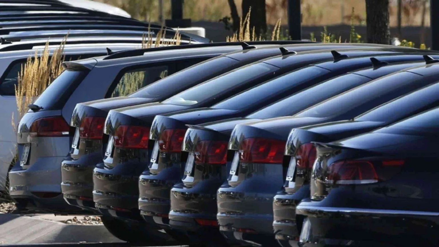 Noleggio e aziendali tengono in piedi l'automobile