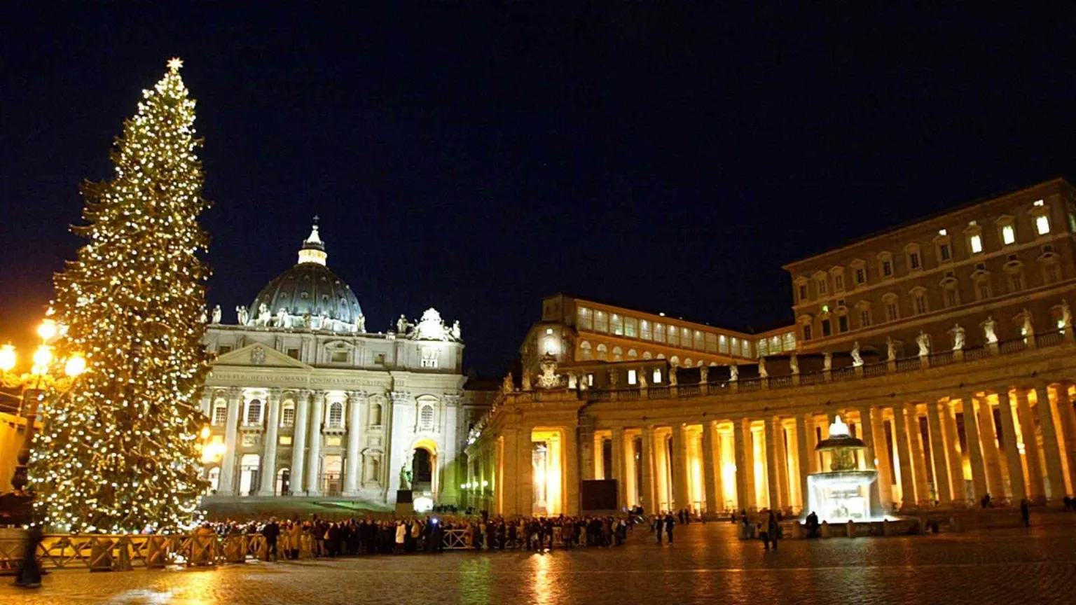Verrà dal Friuli Venezia Giulia l'albero di Natale per Piazza San Pietro