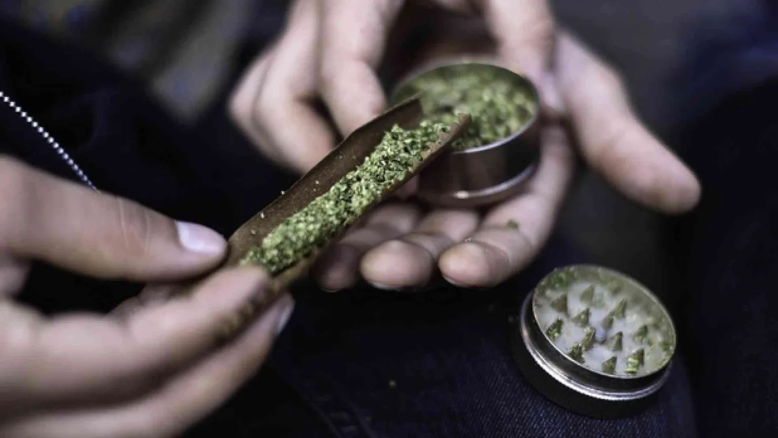 Cannabis, quella light non esiste