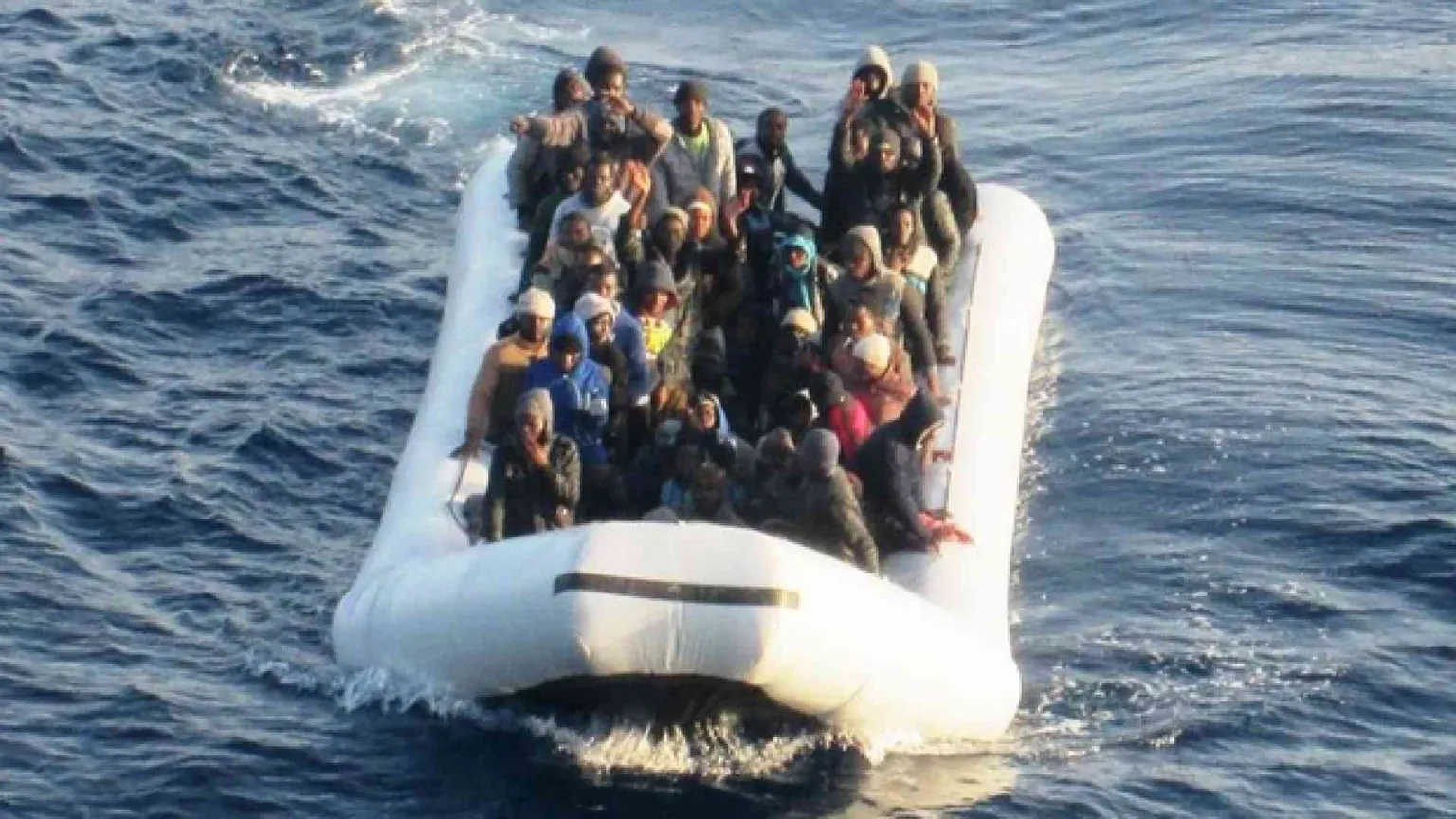 Ecco quali sono i veri taxi del mare