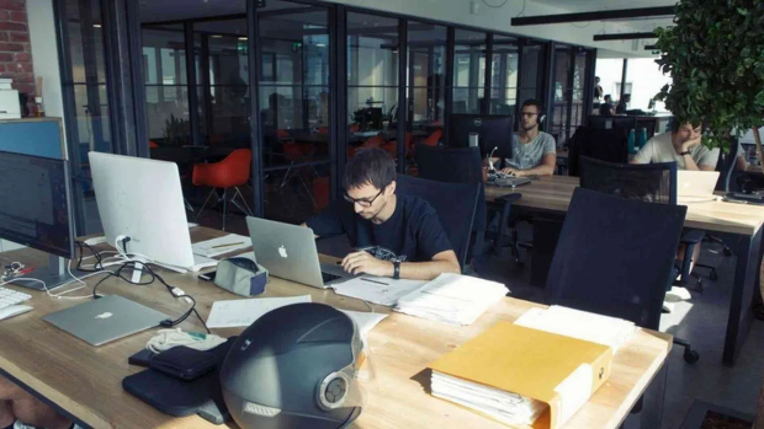 Alla ricerca di 50 persone