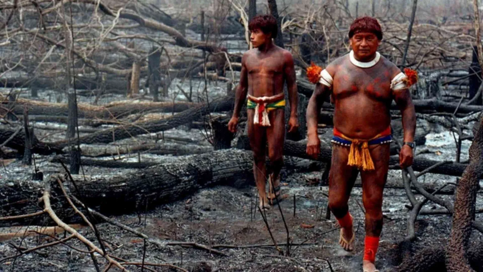 In Brasile la soia si sta mangiando l'Amazzonia
