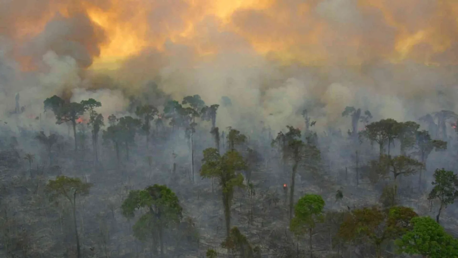 Bolsonaro si prende l'Amazzonia: «Non è patrimonio dell'umanità»