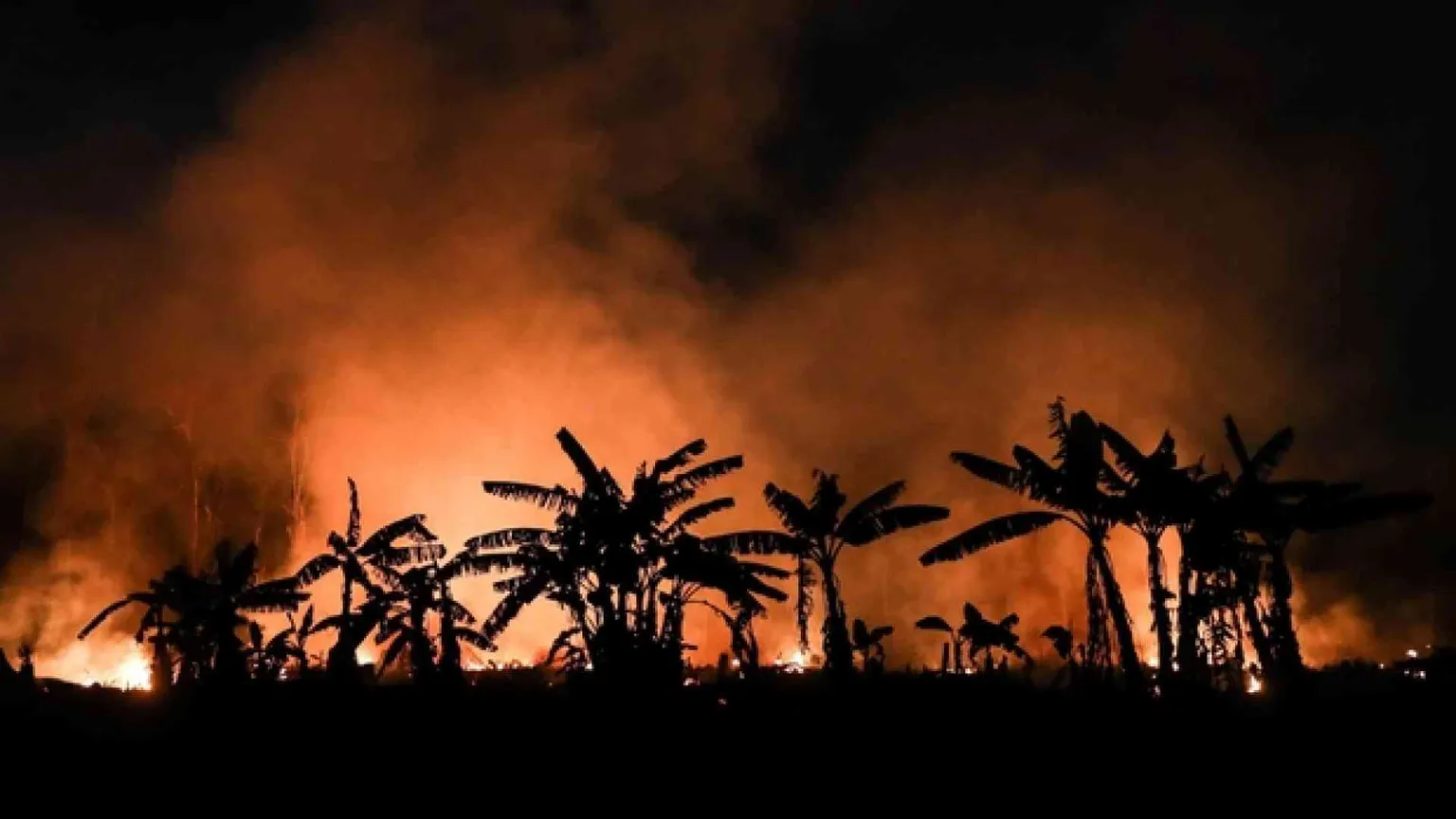 Dire Amazzonia e "vederla" per costruire un giusto futuro