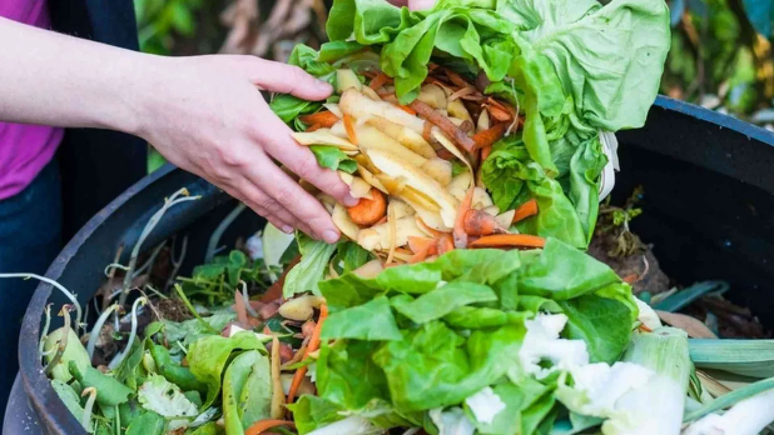 L'Italia ora spreca meno cibo