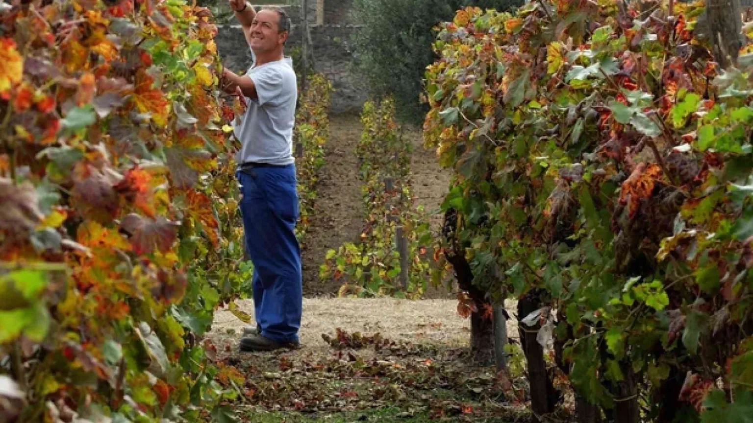 Italia prima in Ue per valore e lavoro