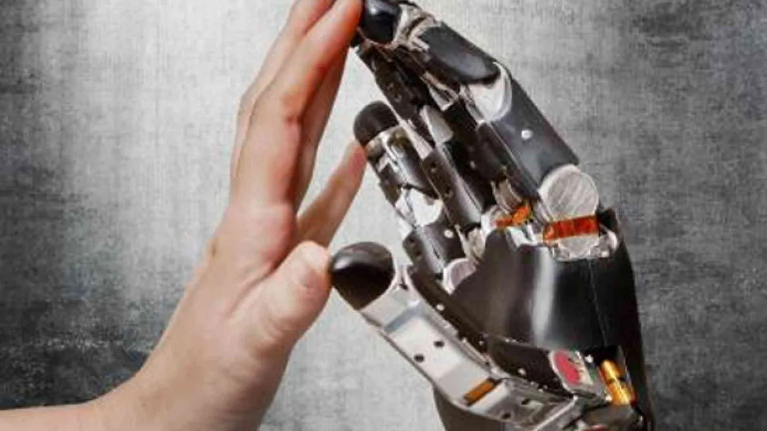 Davvero il futuro sarà dei robot?