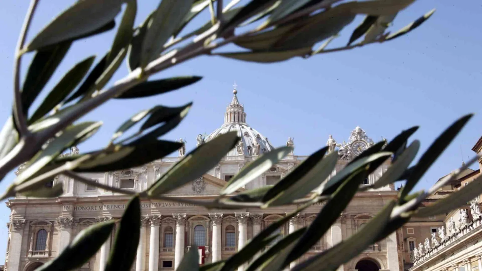 Domenica delle Palme senza ulivo? La Cei: «Basta una pianta verde»