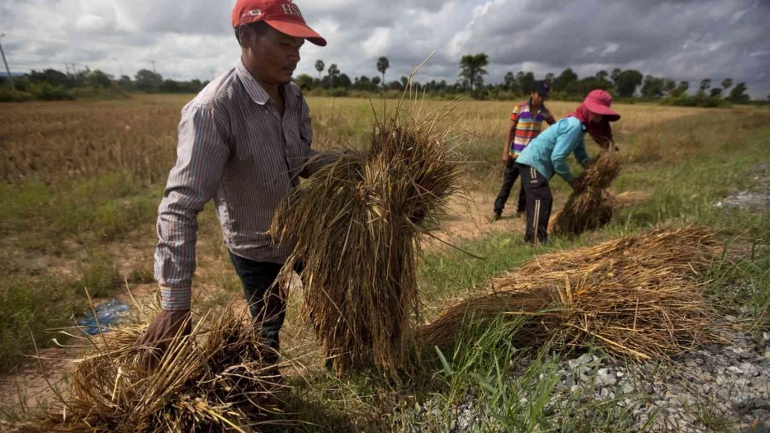 Molti lavori da ri-valutare costruendo nuove relazioni