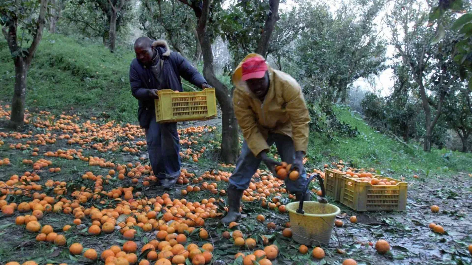 I vescovi della Calabria: è necessario liberare i territori dai caporali