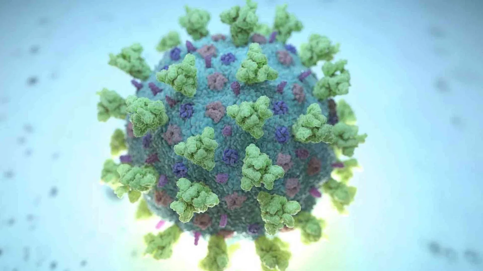 C'è la prova: è il lockdown ad aver cambiato il virus