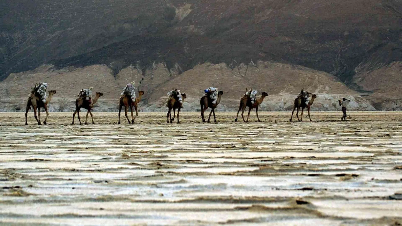 Eritrea, il regime sferza l'ex Dancalia. «Noi vessati con la scusa del Covid»