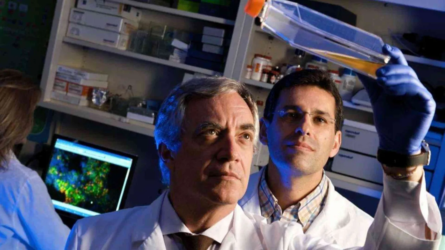 Dalle staminali i farmaci anticovid, il punto sugli studi