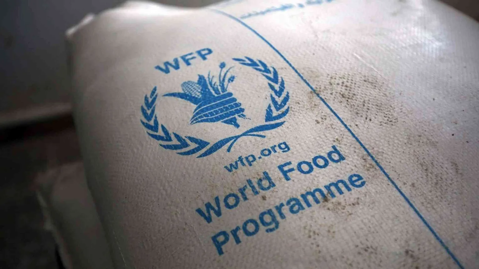 Il Nobel per la Pace al programma alimentare mondiale delle Nazioni Unite