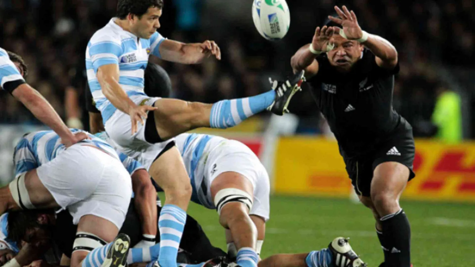 Le macchie dei Pumas: i trionfi e le ombre dell'Argentina del rugby